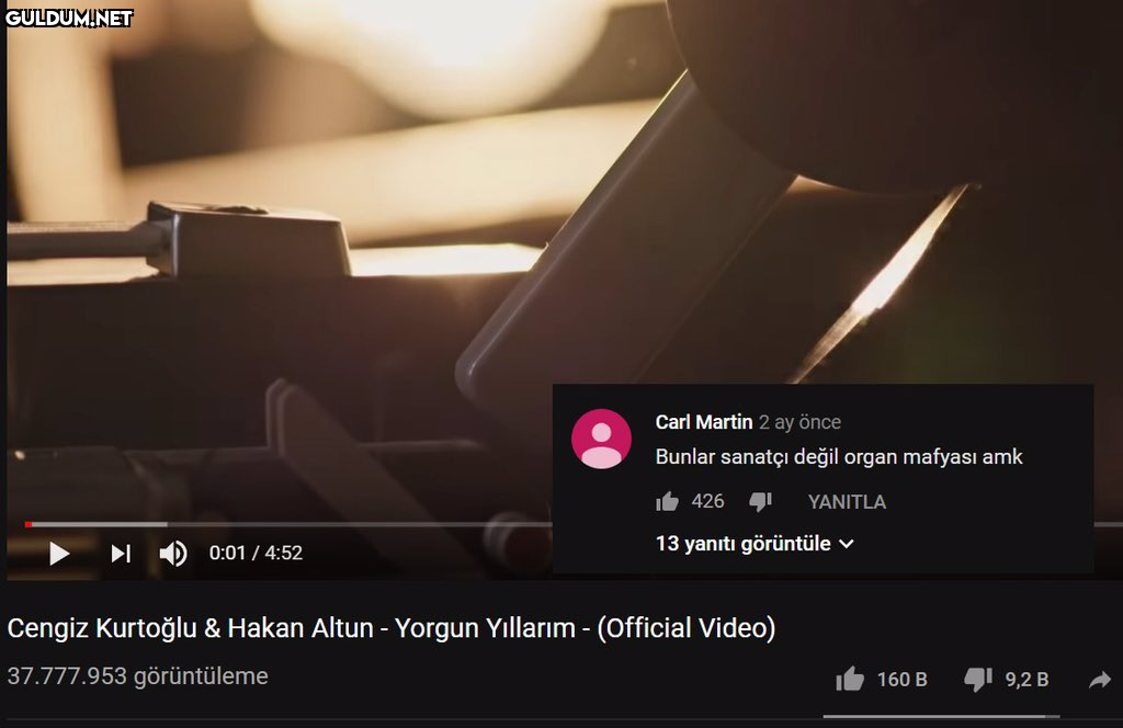 Bunlar sanatçi değil organ...