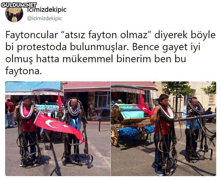 Faytoncular "atsiz fayton...