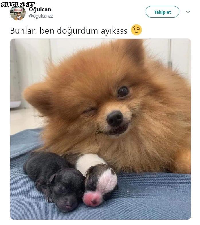 Günaydın 😉🤣 Oğulcan...