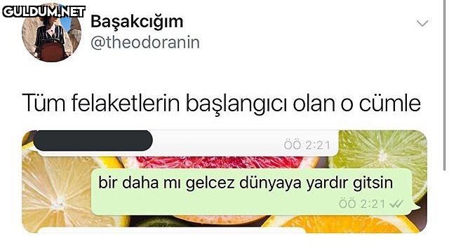 bu cümle bana her şeyi...
