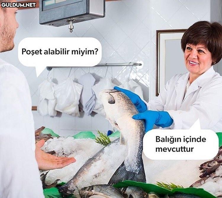 kamu spotu

- Poset...