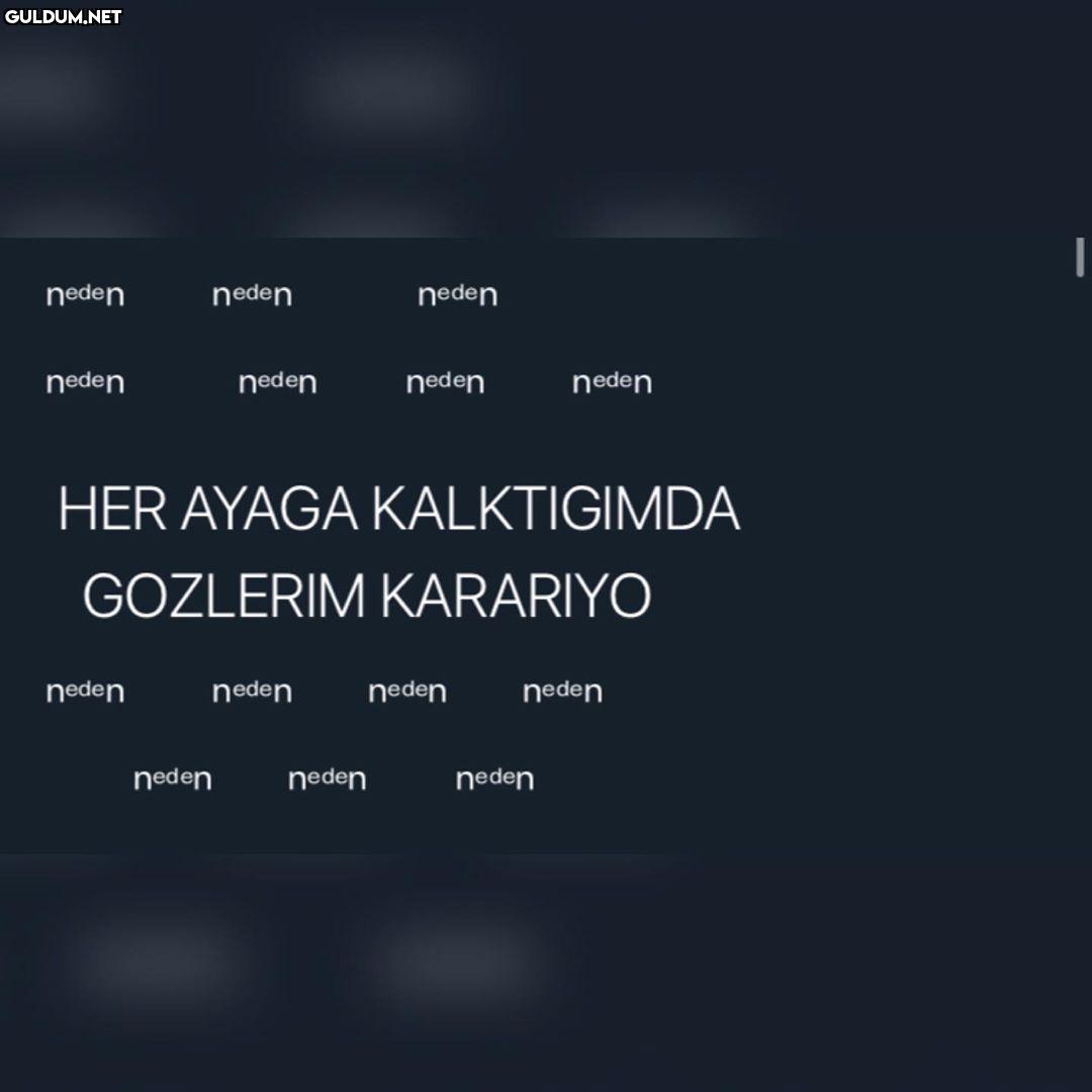 neden neden neden neden...