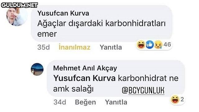- Ağaçlar dişardaki...