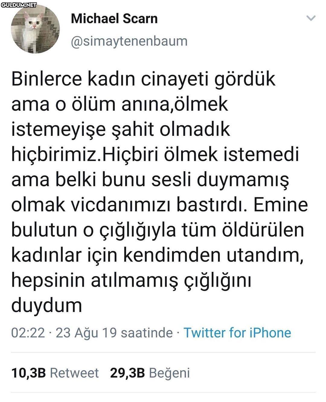 Binlerce kadın cinayeti...