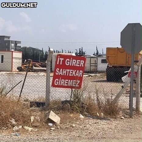 Pavlov’un arazisi IT GIRER...