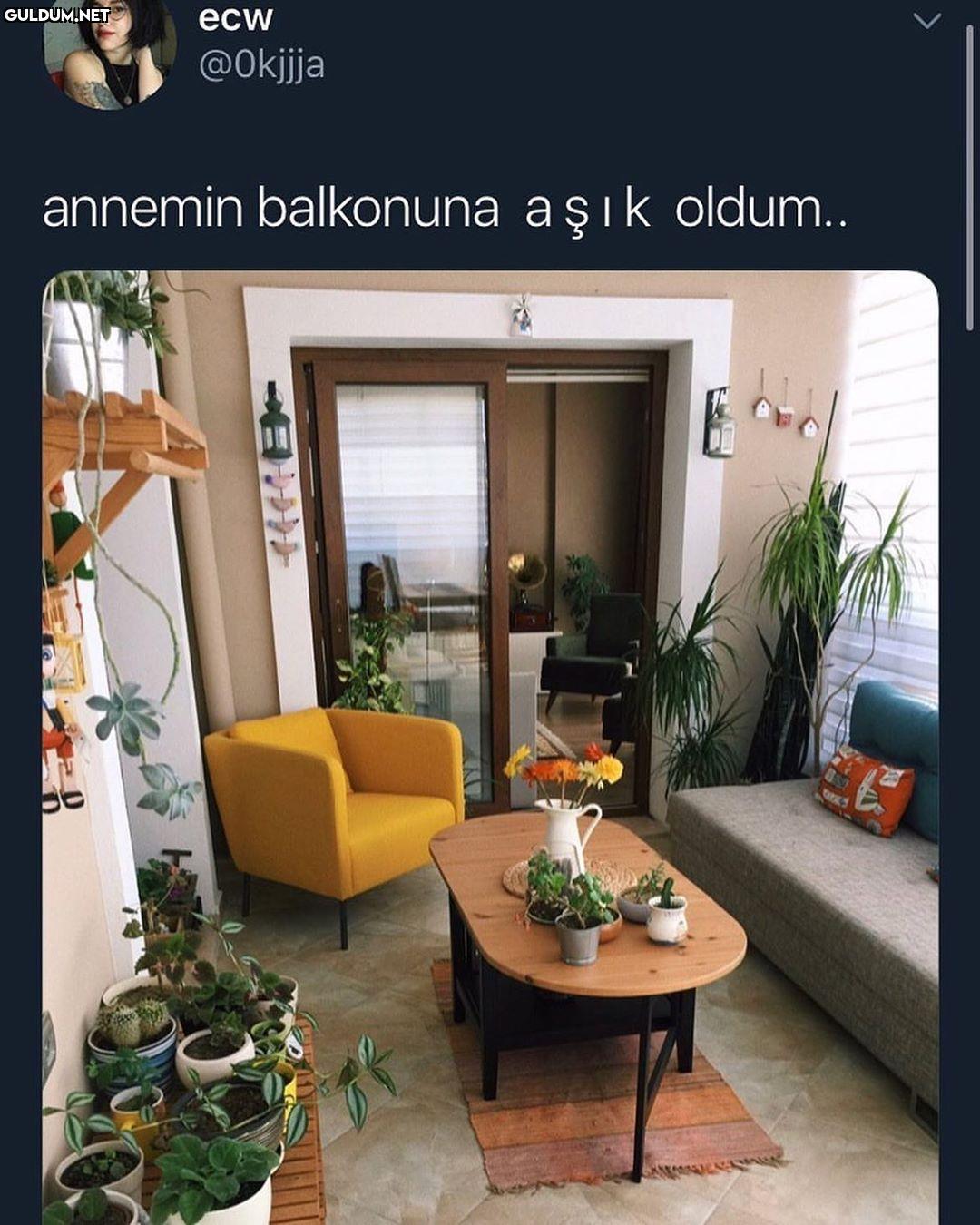 aşırı güzel lan ecw...