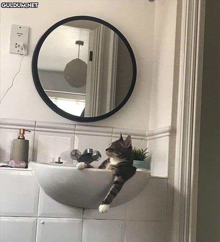 Günaydın 🛁🤣
