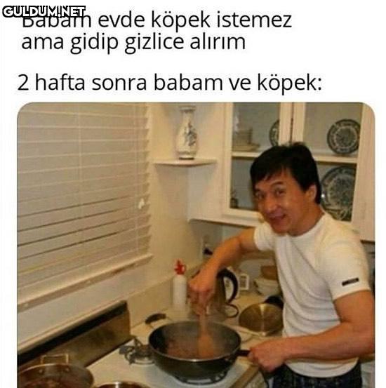 Babam evde köpek istemez...