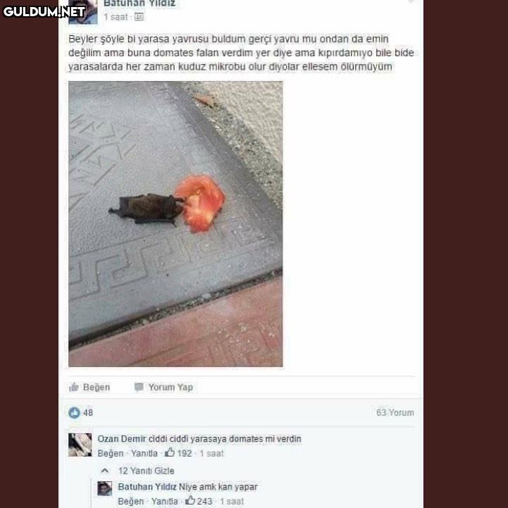 Mantıklı bak Batuhan...
