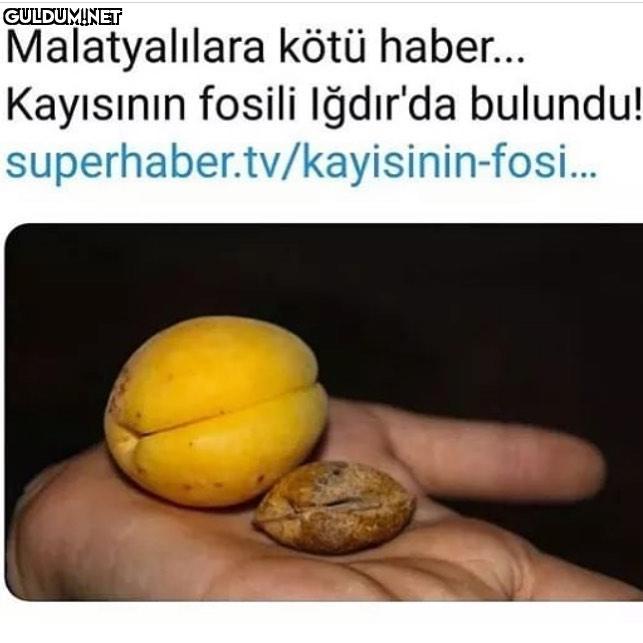 Malatyalıları etiketleyin...