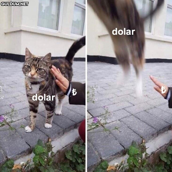 lan bi dur sevseydik biraz...