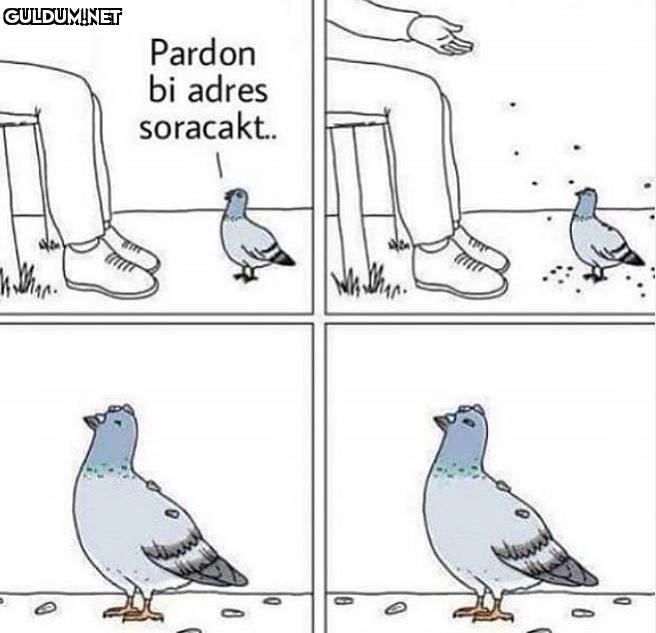 Şerefsz... Pardon bi adres...