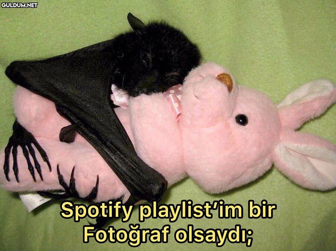 Bir yandan Metallica...