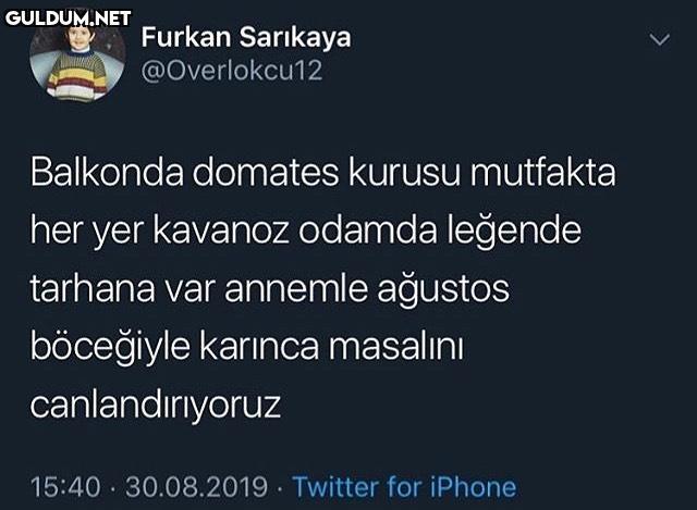 Furkan Sarikaya...