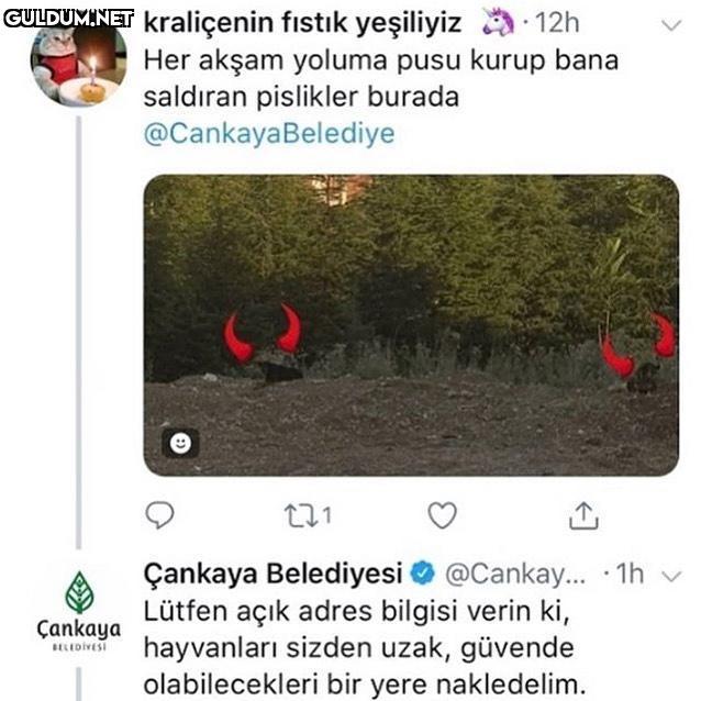 shots fired kraliçenin...
