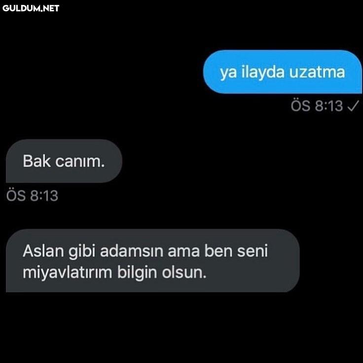 Krallllllll ya ilayda...