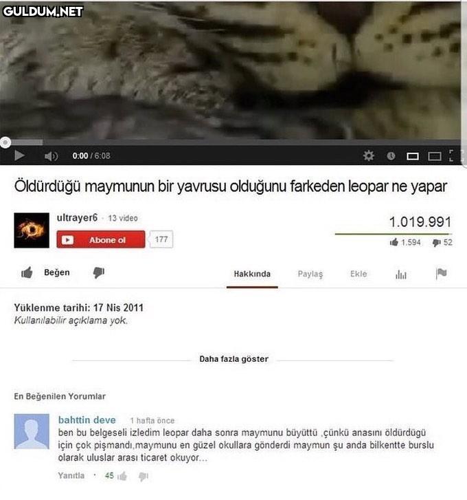 Acıklı bir hikaye......