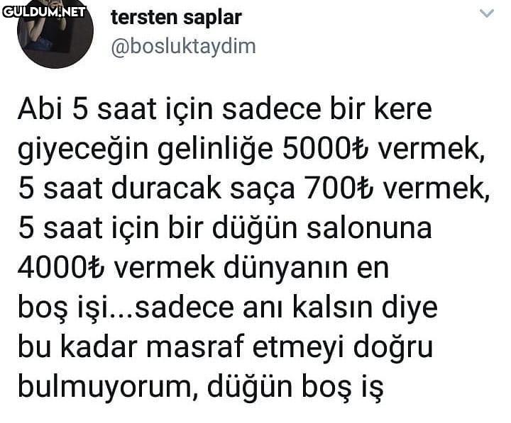 tersten saplar...