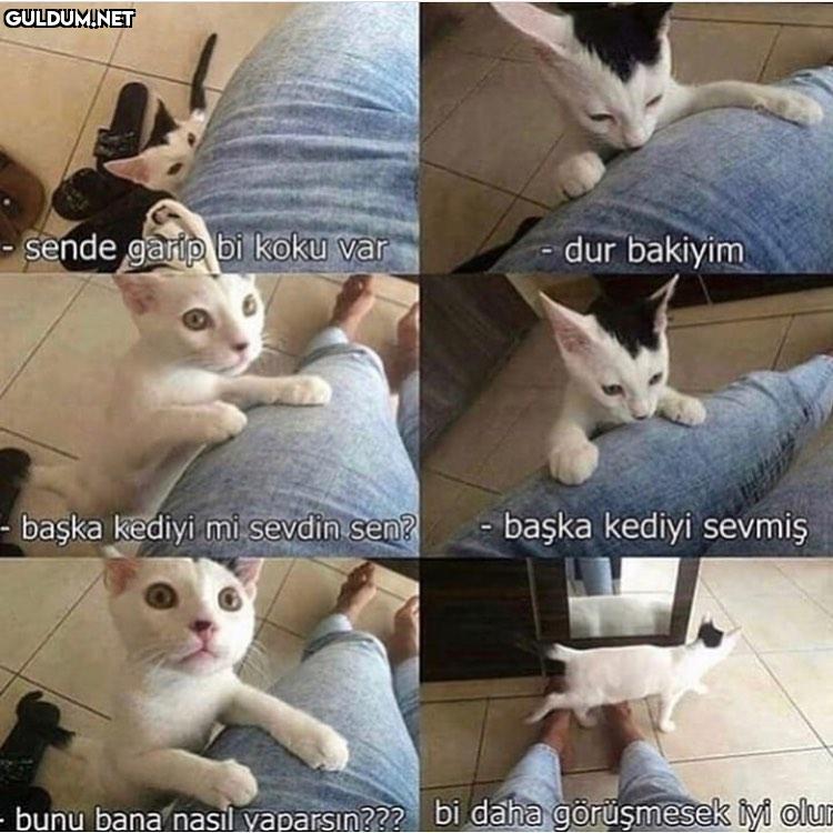 Skhsskbsmaaba sende garip...