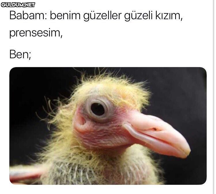 Babam: benim güzeller...