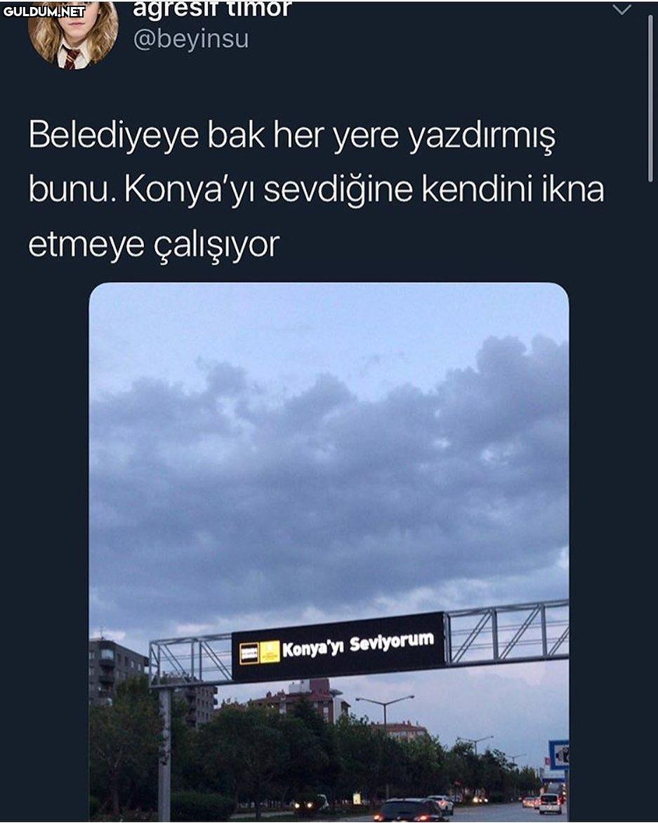 Belediyeye bak her yere...