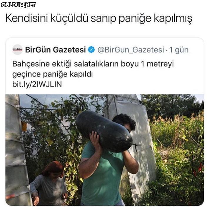 Akskdjdjsksjsjsjdjdjsjdj...