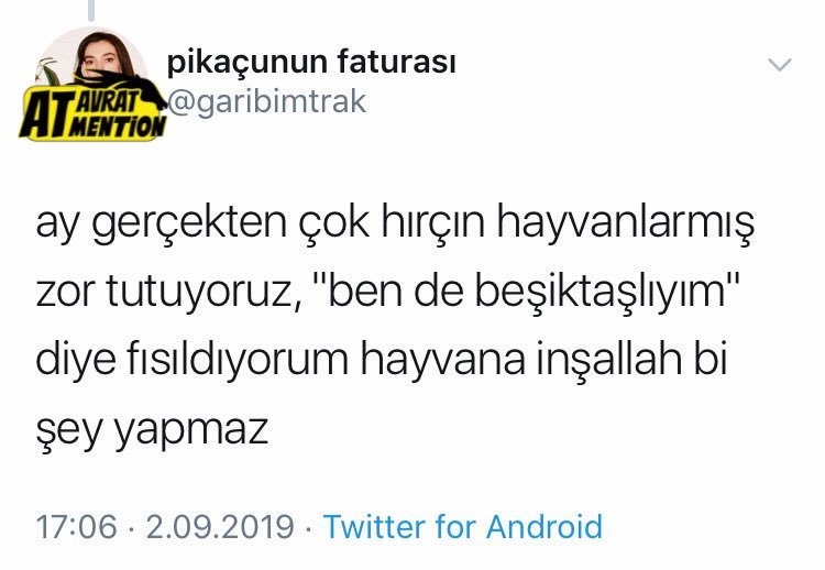 Kanadı kırık kartalı...