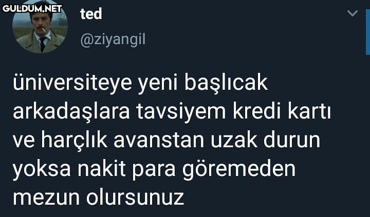 ted @ziyangil üniversiteye...
