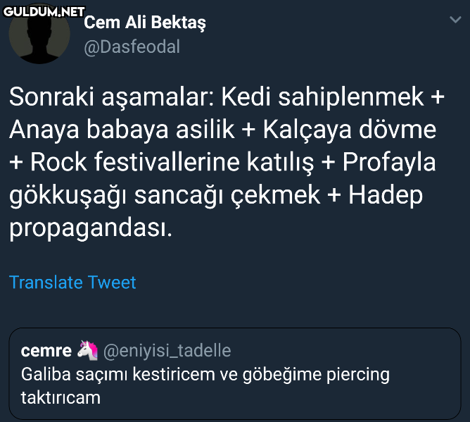 Cem Ali Bektaş @Dasfeodal...