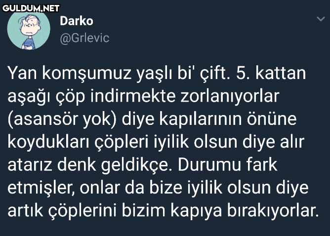 Darko @Grlevic Yan...