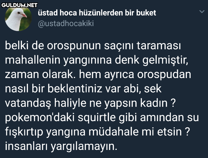 Haksız değil gibi.

 üstad...