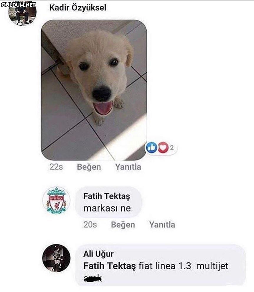 Boşluğuma geldi...