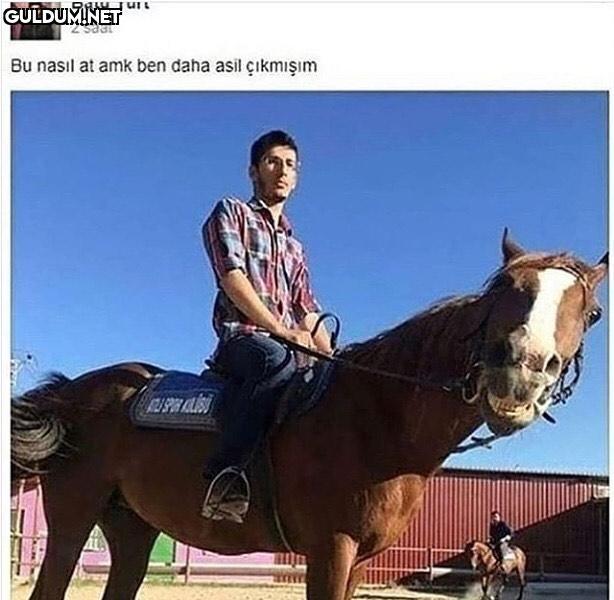 fögmmfkkkr ata bakınca...