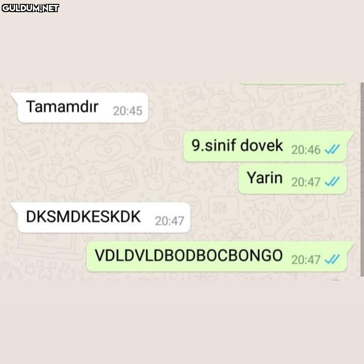 9.sınıflı kardeşlerim seri...