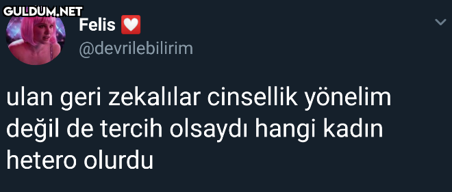 Felis @devrilebilirim ulan...