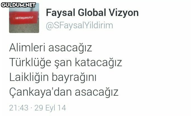 Faysal Global Vizyon...