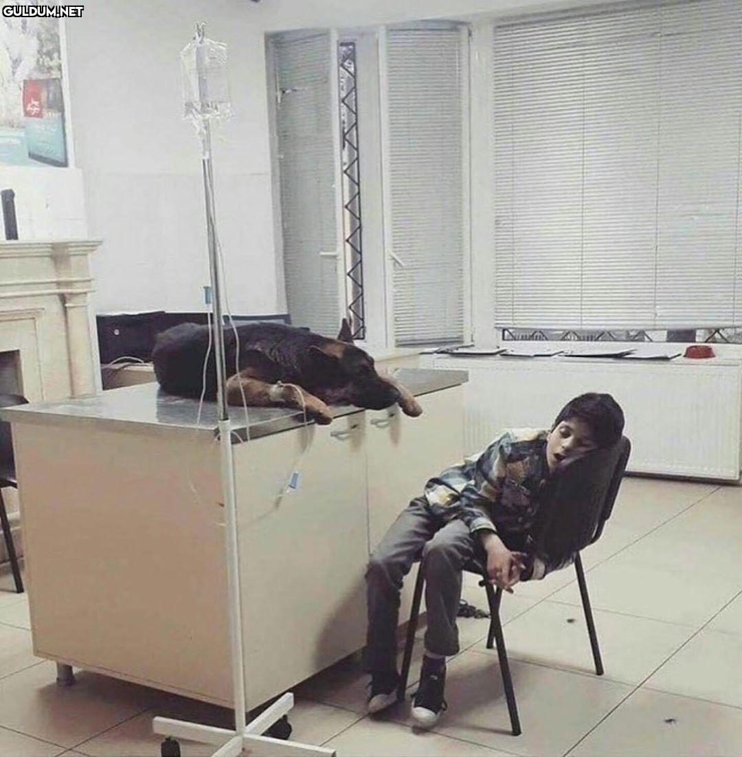 Fotoya bak her duyguyu...