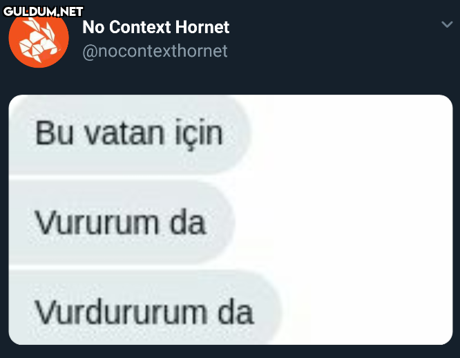No Context Hornet  Bu...
