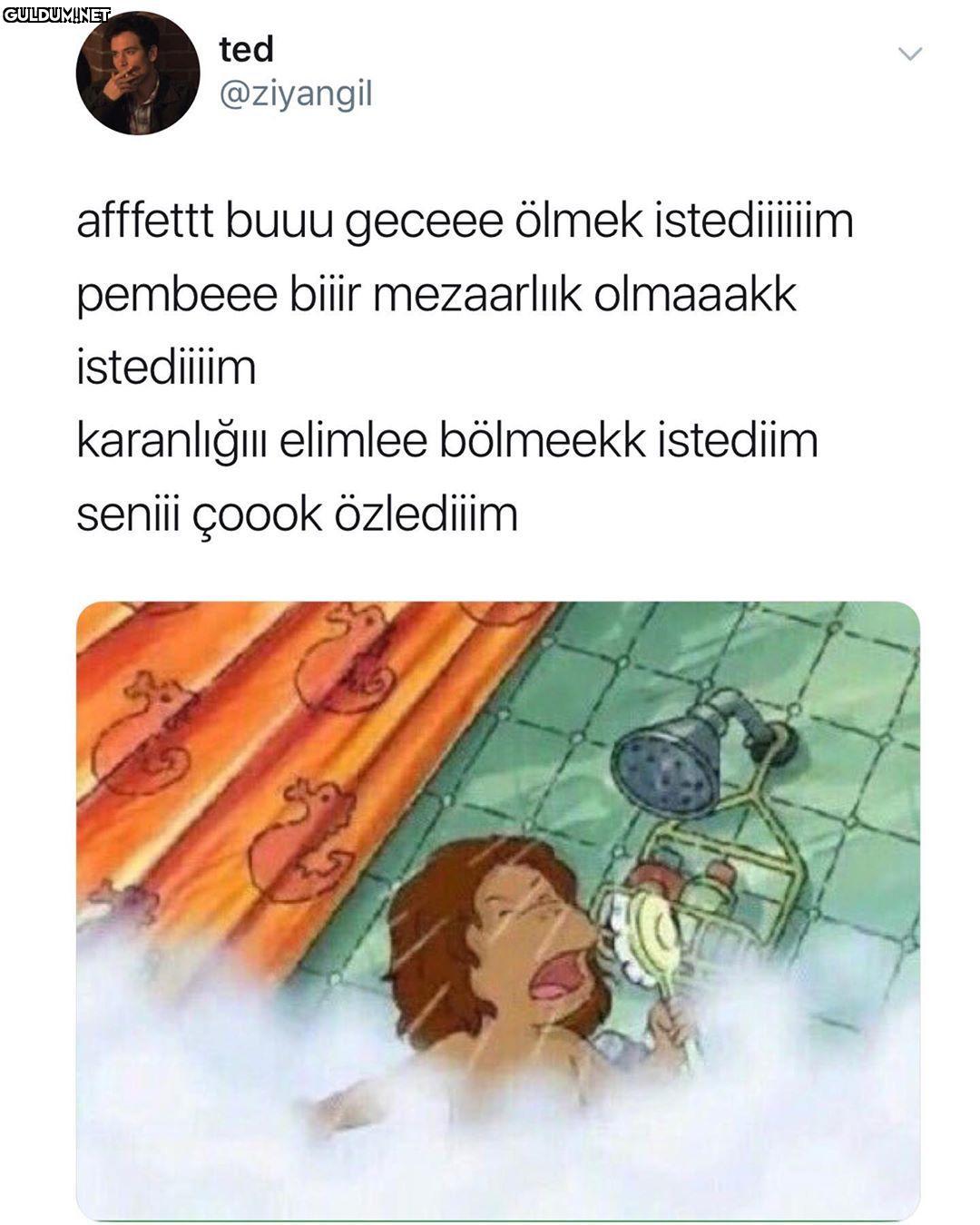 Çok istedim bu gece...