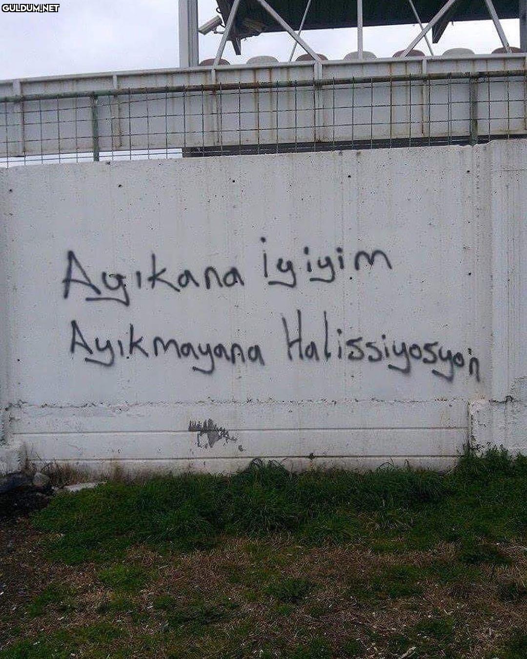 Ayıkmayan kategorisine...