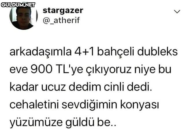 stargazer @_atherif...