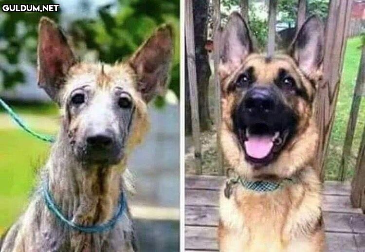 en güzel before...