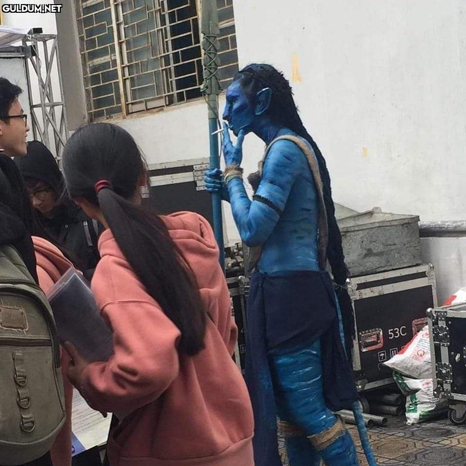 herkes avatar 2 ne zaman...