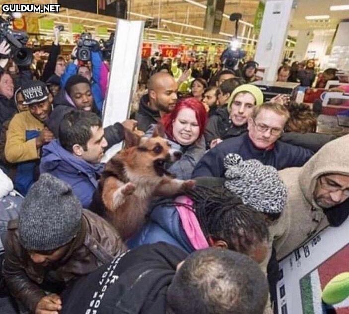 anlamsız fotoğraflar 892...