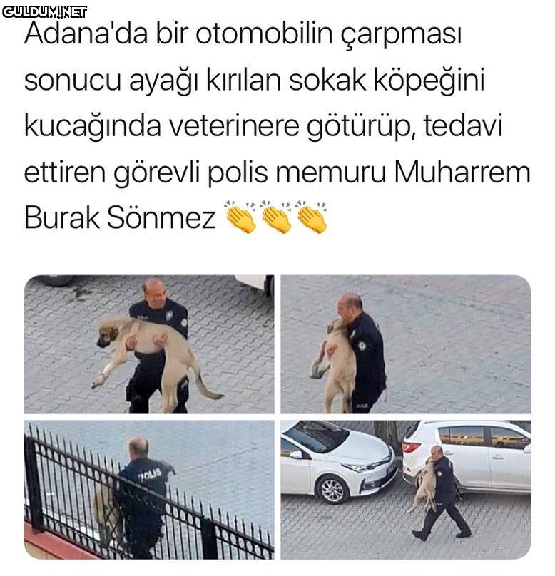 Güzel insaların olduğunu...