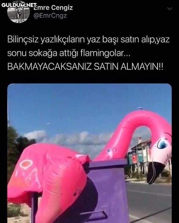 sahiplenin kuzum...