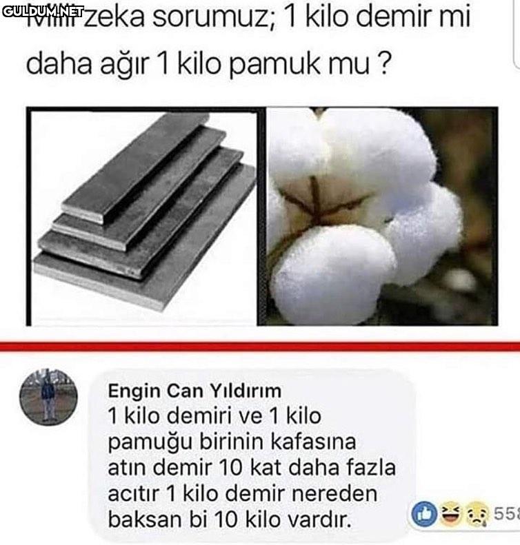 Beyin fail Milli zeka...