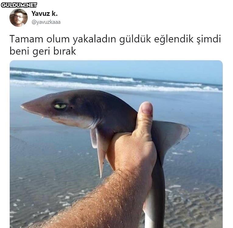 Yavuz k. @yavuzkaaa Tamam...