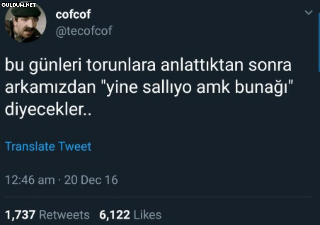 cofcof @tecofcof bu...