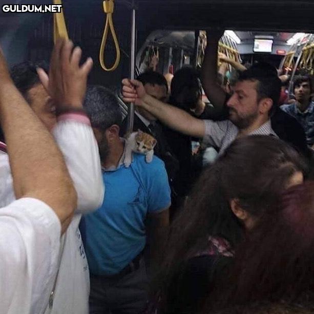 anlamsız fotoğraflar 1011